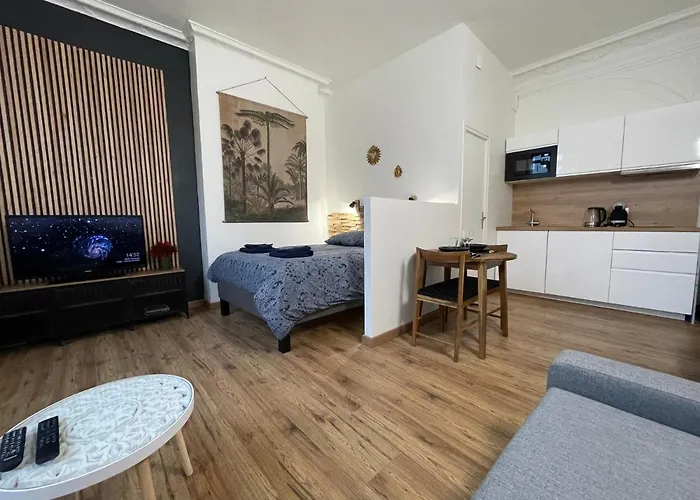 L\'Escale Studio Arras Avec Parking Prive